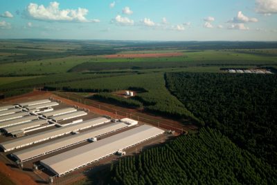 site-base-tec