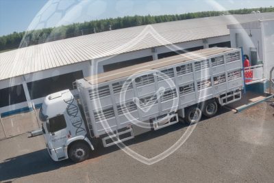 site-biosseg-transporte