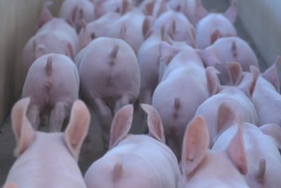 site-presente-futuro-parte-01