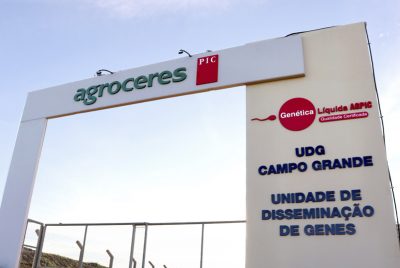 udg-campo-grande